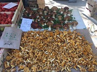 Paddestoelentijd, markt in Barjac