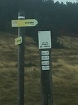Op naar de “cols”