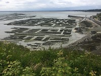 Oester banken