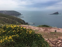 Cap Frehel