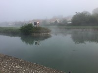 Ochtend mist