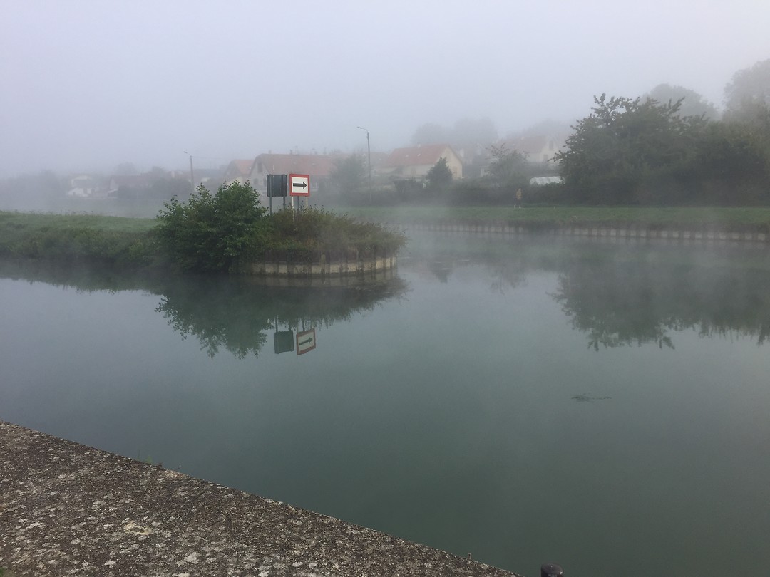Ochtend mist