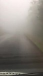 Door de mist