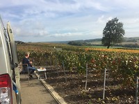Bij de champagne boerderij