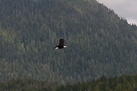 IMG_0121