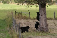 IMG_0423