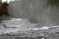 DSC00390