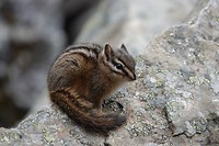 Canada 23+24-9-18