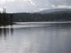 IMG_2878