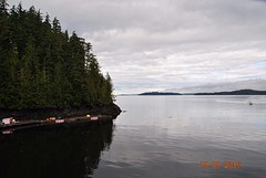 DSC_4915