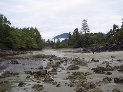 IMG_2828