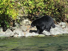 IMG_0056