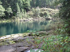 IMG_2929