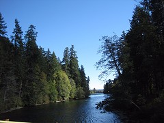 IMG_2938