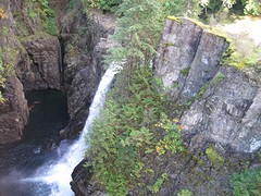 IMG_2909