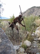 IMG_3029