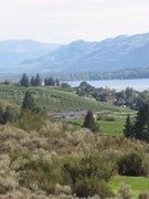 IMG_3043