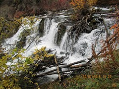 IMG_0559