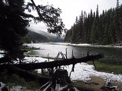 IMG_3495