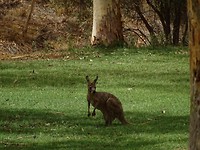 DSC00615