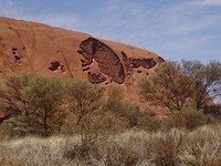 DSC00687