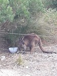 IMG-20200119-WA0009