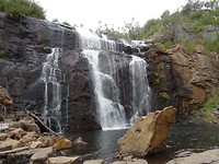 DSC00781