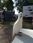 DSC00736
