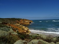 DSC00819