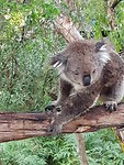 IMG-20200201-WA0006