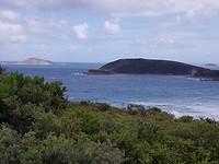IMG-20200204-WA0002