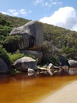 IMG-20200204-WA0003