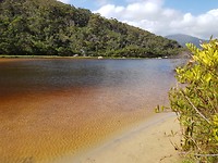 IMG-20200204-WA0004
