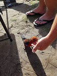 IMG-20200204-WA0005