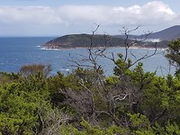 IMG-20200204-WA0007