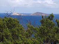IMG-20200204-WA0008