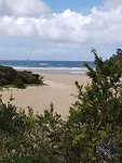 IMG-20200204-WA0013