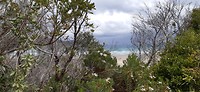 IMG-20200204-WA0018