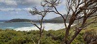 IMG-20200204-WA0019