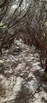IMG-20200204-WA0020