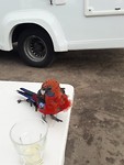 IMG-20200204-WA0023