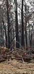 IMG-20200205-WA0001