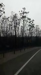 VID-20200206-WA0007