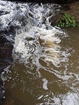 IMG-20200209-WA0005