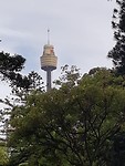 The Tower