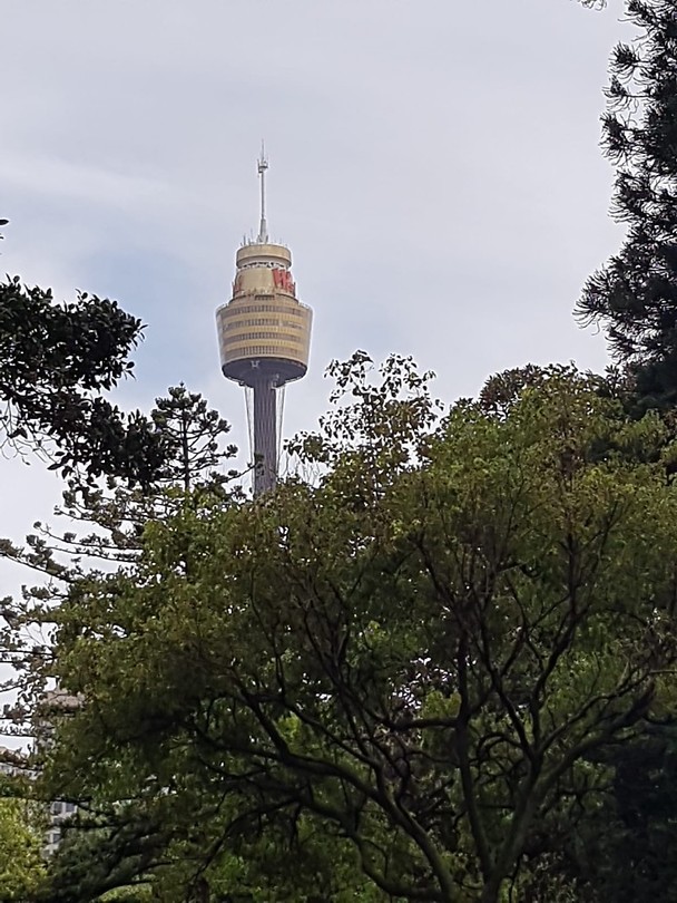 The Tower
