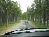 Campground Crandell