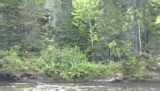 rivier langs de weg naar Perce.