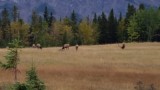 20140926_094335