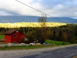 DSC03819